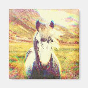 Imã Arte de Digitas do cavalo de Islândia