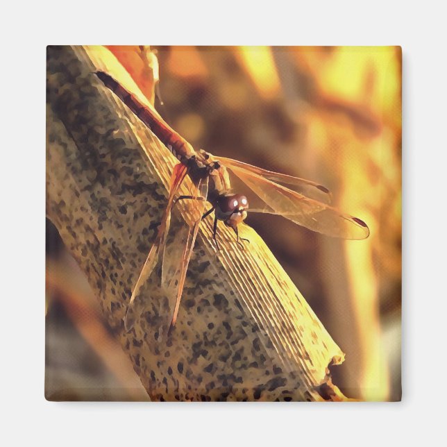 Imã Arte de Dragonfly Vermelha Elegante (Frente)