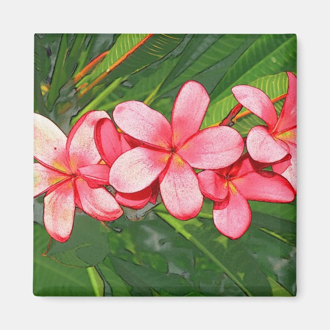 Imã Arte de Frangipani Tropical Rosa (Frente)