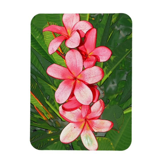 Ímã Arte de Frangipani Tropical Rosa (Vertical)