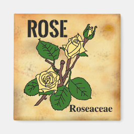 Imã Arte de linha da Rosa Amarela em estilo de papel e