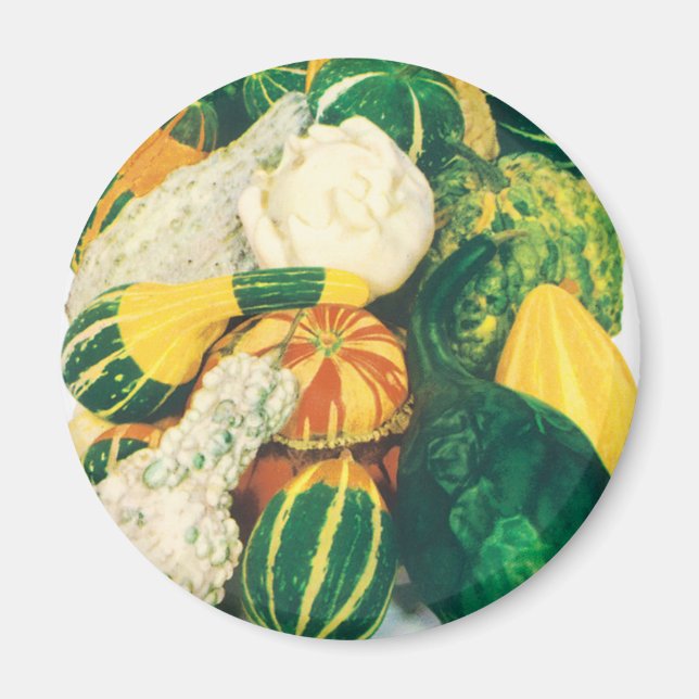 Imã Arte de Pacote de Sementes Antigas, Abóboras Diver (Frente)