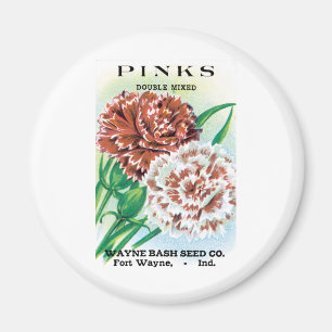 Imã Arte de Pacote de Sementes Antigas, Flores de Crav