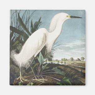 Imã Arte de Pássaro Garça Branca da Coleção Clássica A