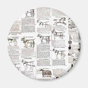 Imã arte de pintura de cavalo