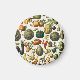 Imã Arte de Poster de Frutas Botânicas Francesas Vinta