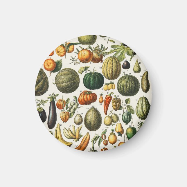 Imã Arte de Poster de Frutas Botânicas Francesas Vinta (Frente)