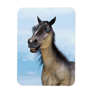 Ímã Arte de retrato de cavalo com sorriso engraçado