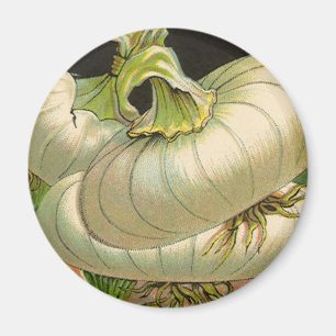 Imã Arte de rótulo de pacote de sementes vintage Cebol