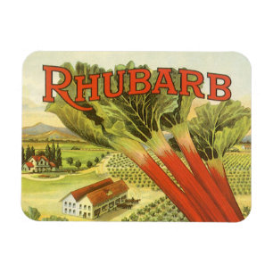 Ímã Arte de Rótulos de Latas de Legumes Antigos, Fazen