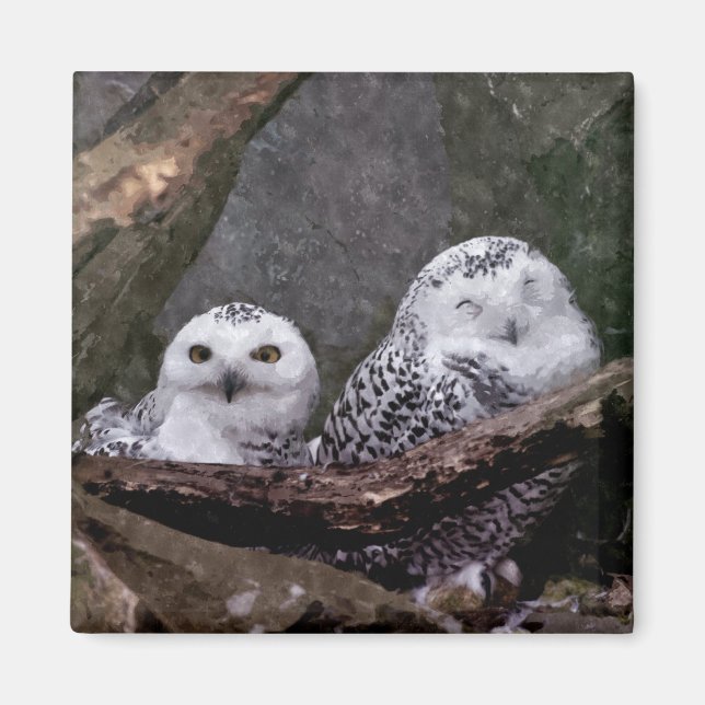 Imã Arte de vida selvagem da floresta com casal de cor (Frente)
