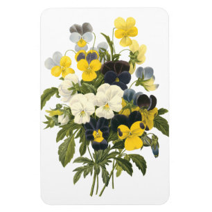 Ímã Arte de Viintage dos Pansies e das violetas