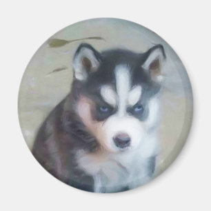 Imã Arte do filhote de cachorro do rouco Siberian