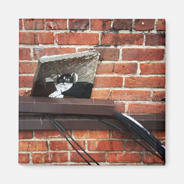Imã arte do gato beco (Frente)