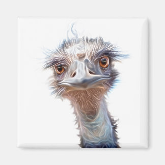 Imã Arte em Emu Luminosa