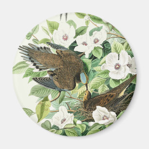 Imã Arte Floral de Pássaro do Pombo em Luto Vintage Au