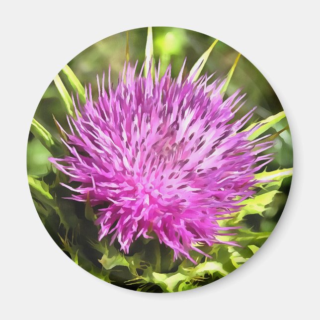 Imã Arte Floral Roxa de Flor Selvagem (Frente)