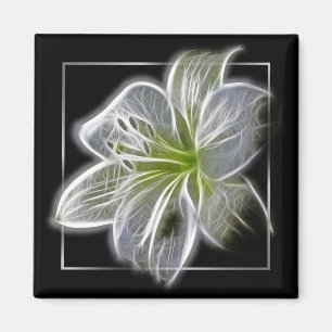 Imã Arte Fractal de Lírio Branco Impressionante Preto