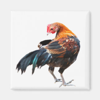 Imã Arte Luminosa em Frango
