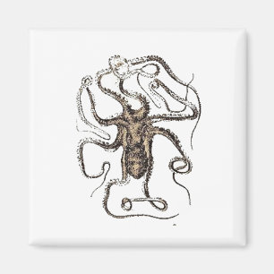 Imã Arte Náutica Marinha Octopus Vintage