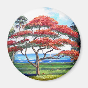 Imã Arte real da árvore de Poinciana