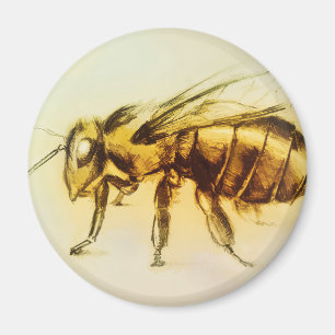 Imã Arte realística do zangão amarelo, ímã redondo