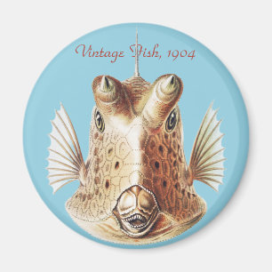 Imã Arte Vintage de Ernst Haeckel - Peixe-Vaca-Dourado