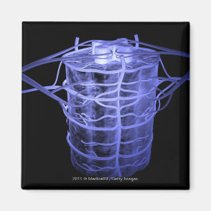 Imã Artérias que cercam a parte da coluna espinal