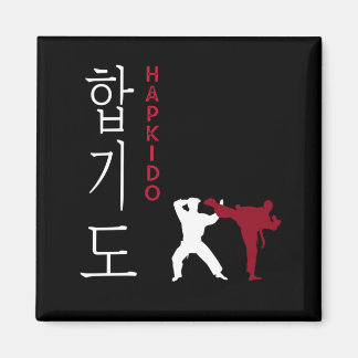 Imã Artes marciais coreanas Hapkido