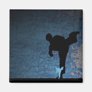 Imã artes marciais: shadowstance