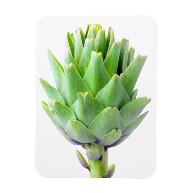 Ímã Artichoke (Vertical)