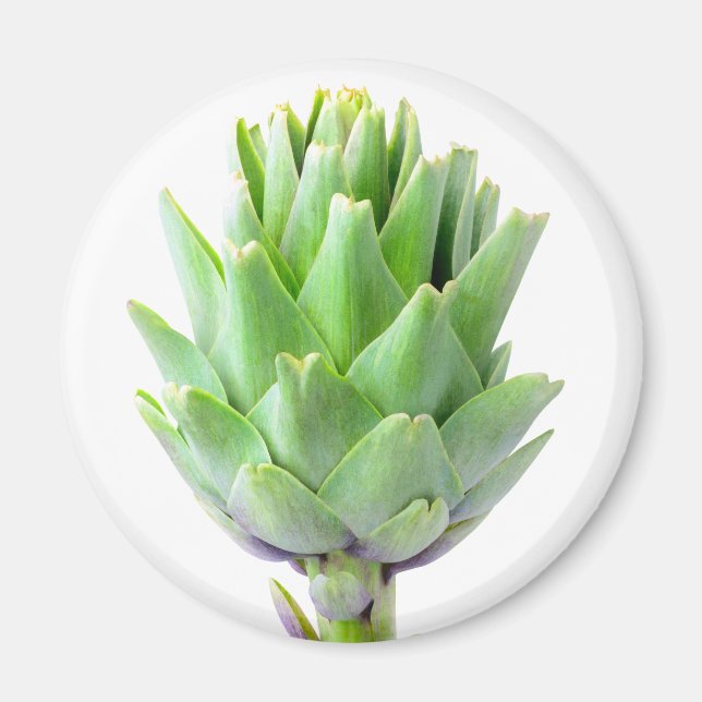 Imã Artichoke (Frente)