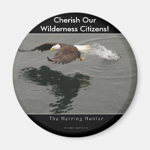 Imã Artigo do presente da águia americana da caça