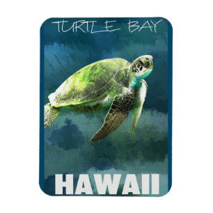 Ímã Artista de Tartaruga do Mar Havaí