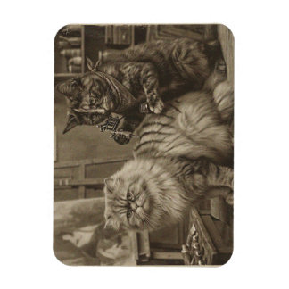 Ímã Artista de Tatuagem de Gato Sepia Vintage – Vitori