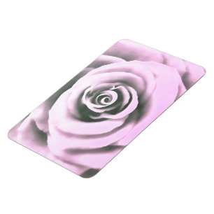 Ímã Artistic Pink Rose rb