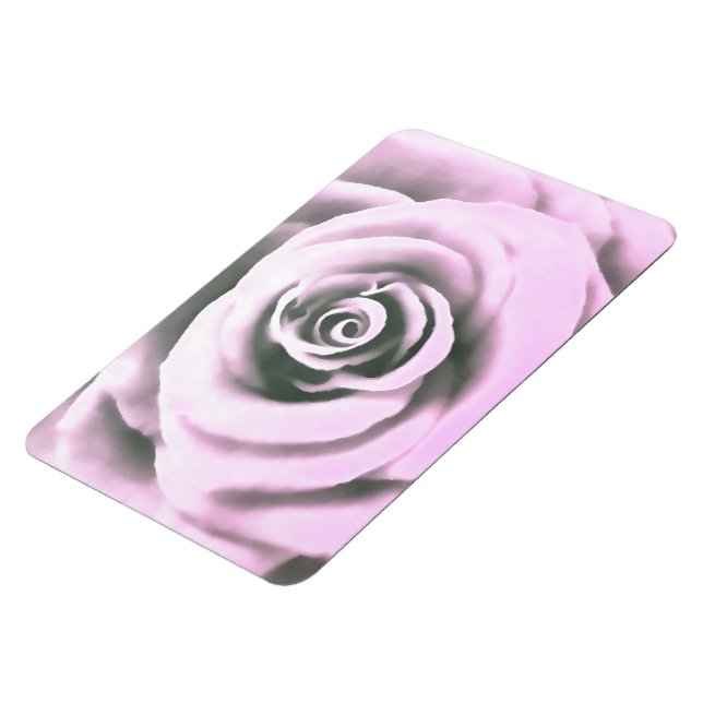 Ímã Artistic Pink Rose  rb (Left Side)