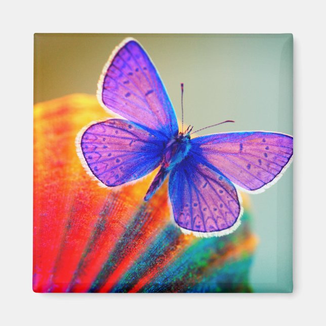 Imã Artsy Butterfly Magnet (Frente)