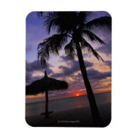 Aruba, silhueta de palmeiras e palapa sobre
