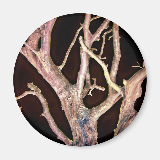 IMÃ ÁRVORE (Frente)