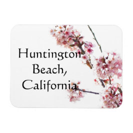 Ímã Árvore cerejeira na praia de Huntington, Califórni