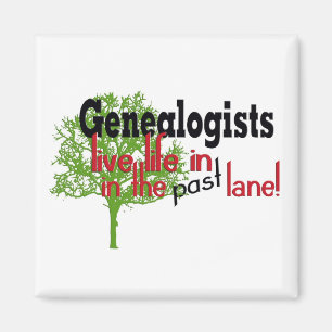 Imã Árvore da árvore genealógica