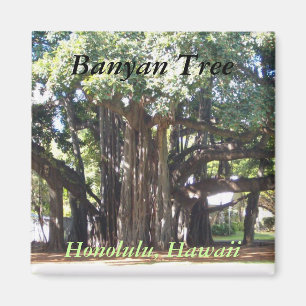 Imã Árvore de Banyan