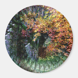 Imã Árvore de Carvalho Antiga.......