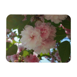 Ímã Árvore de cereja I Primavera Floral com duas flor
