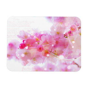 Ímã Árvore de cereja japonesa com as flores do rosa