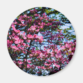 Imã Árvore de Dogwood florada rosa