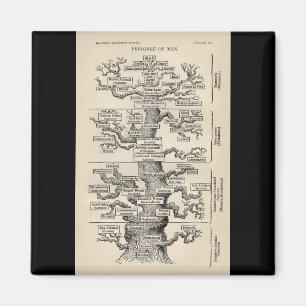 Imã Árvore de Ernst Haeckel a "de vida "