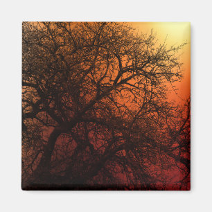 Imã Árvore de inverno de Silhueta Sunset