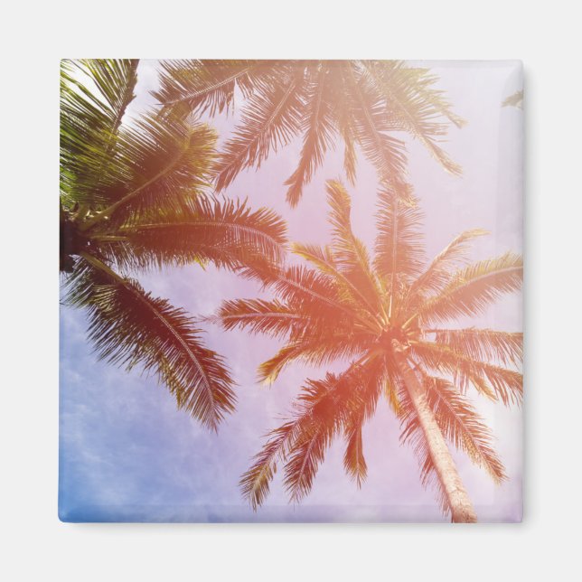 Imã Árvore de Palma de Coco com Luz Solar (Frente)
